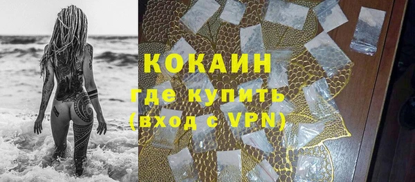 mdpv Бородино