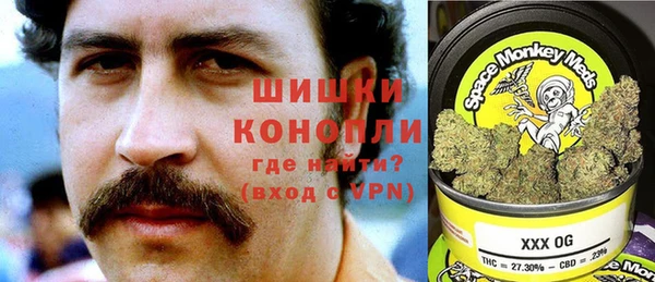 mdpv Бородино