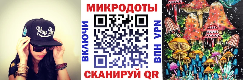 купить наркотики сайты  Дзержинский  ссылка на мегу рабочий сайт  Галлюциногенные грибы Psilocybine cubensis 